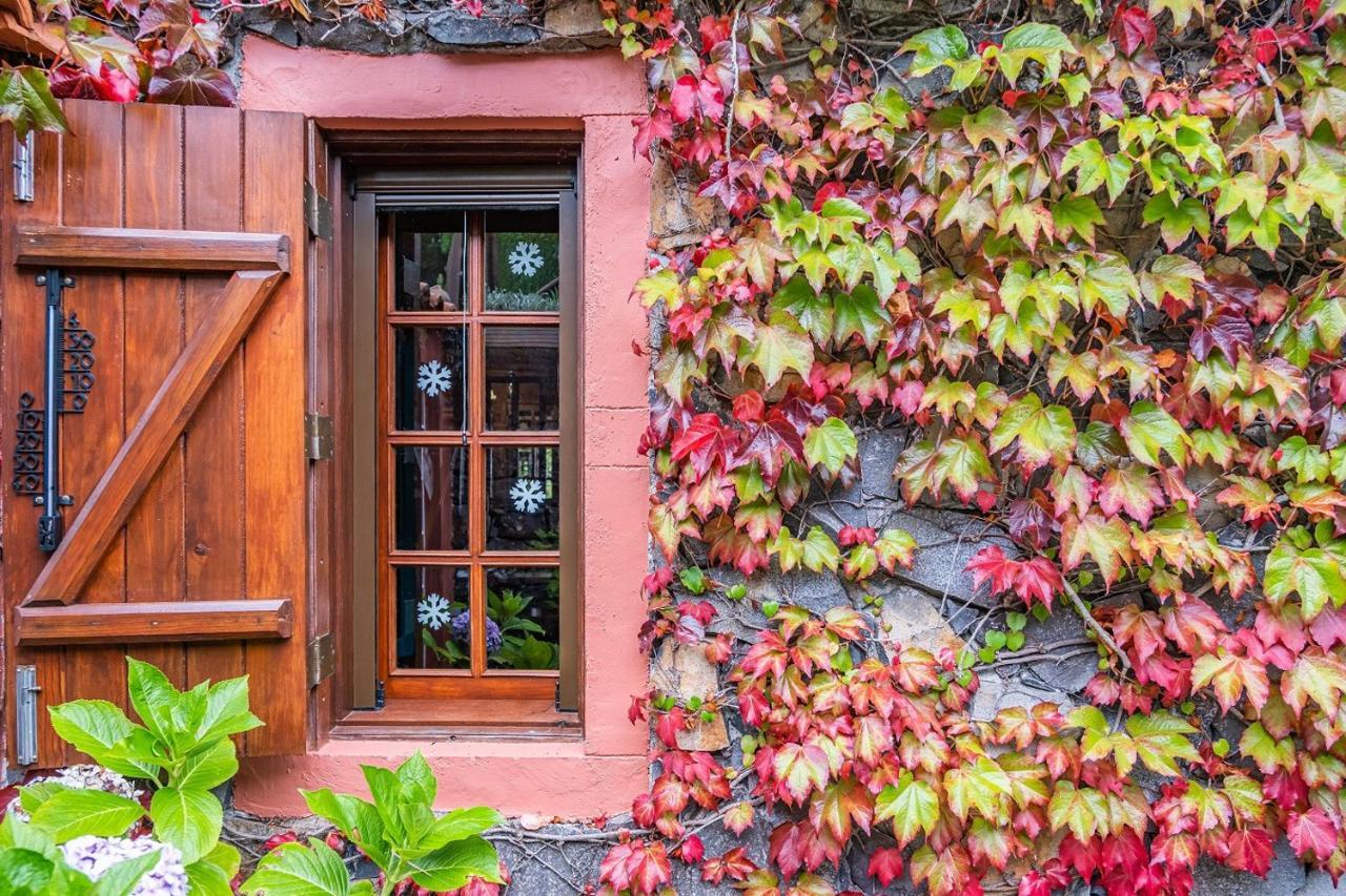 Villa Achada Da Mouca By Madeira Sun Travel Сантана Екстериор снимка